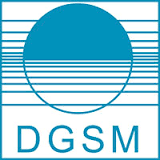 Website DGSM