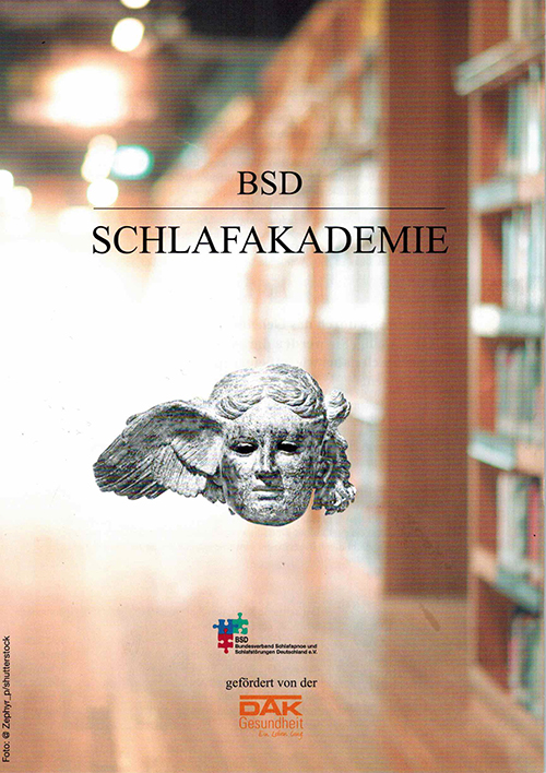 Website BSD-Schlafakademie